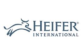 heifer international